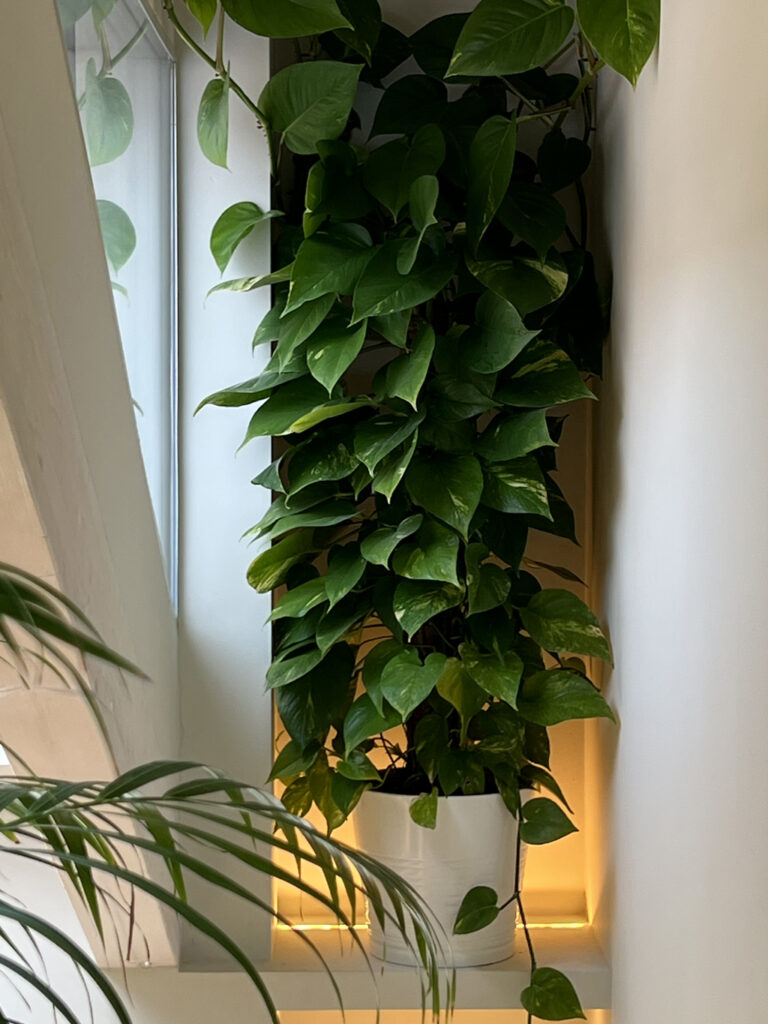 BLD design